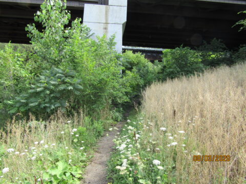 Foot Path to the CSO