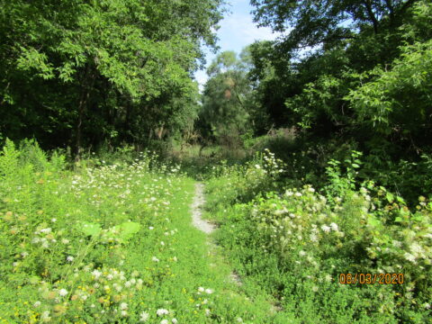 Path to Keelesdale